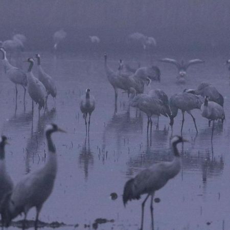 Belval-en-Argonne Gite De L'Etang מראה חיצוני תמונה